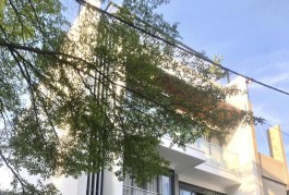 Bán B.Thự vườn lài PHƯỜNG An Phú Đông Quận 12, 4 tầng, ĐƯỜNG 10m, giá giảm còn 9.x tỷ